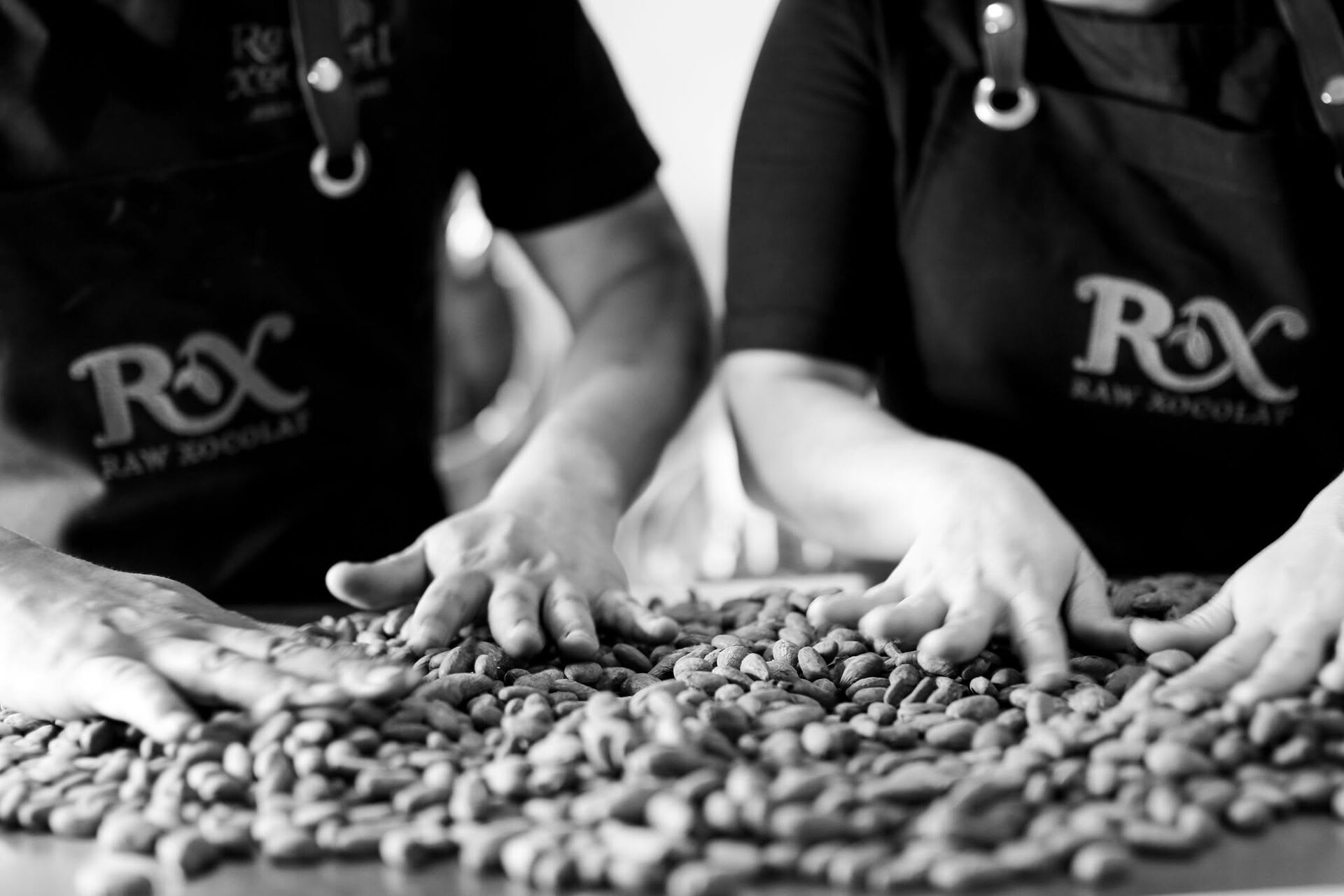 Hands sorting cacao beans at Raw Xocolat